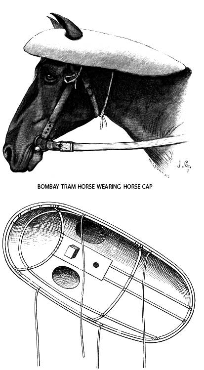 BOMBAY TRAM-HORSE WEARING HORSE-CAP