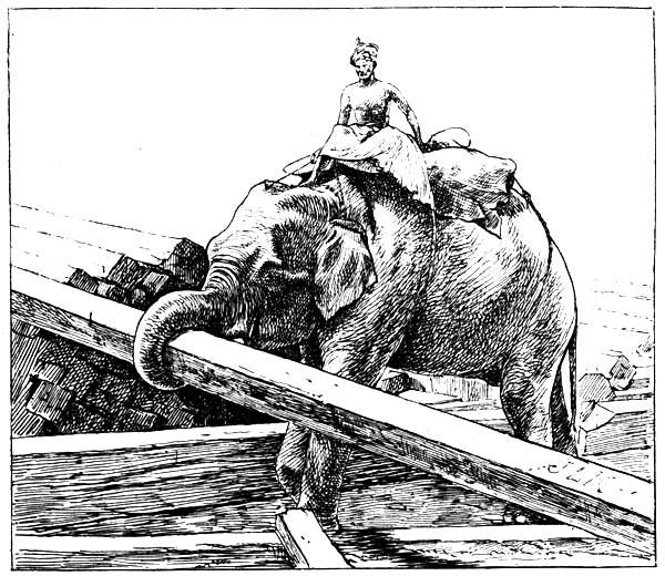 ELEPHANT PILING TIMBER (BURMAH)