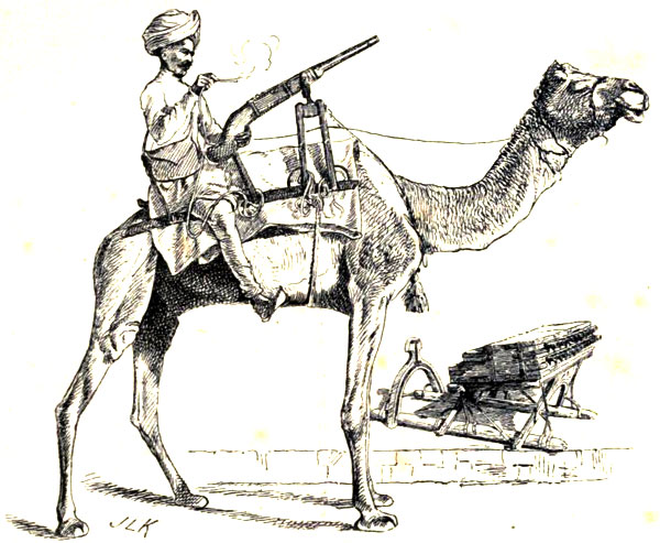 RAJPUT CAMEL GUNS