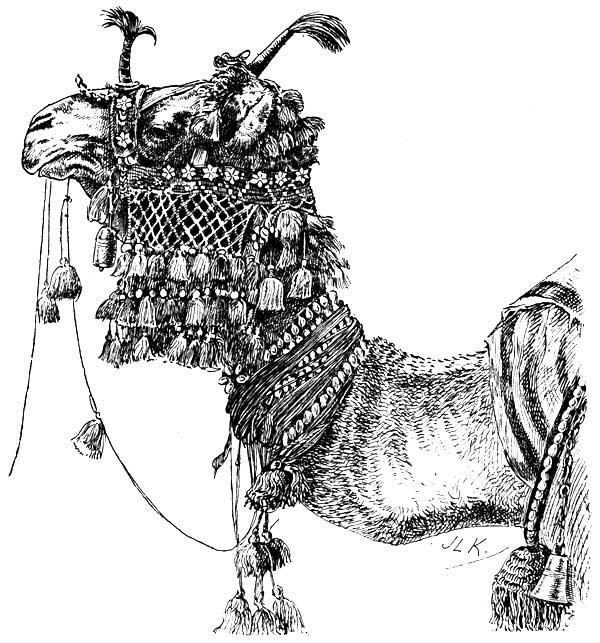 THE LEADING CAMEL OF A KAFILA (AFGHANISTAN)