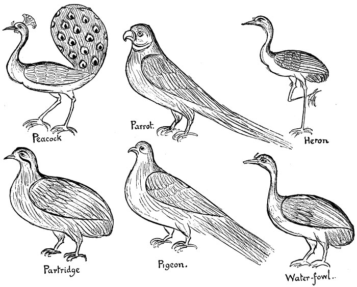 BIRDS BY AN INDIAN DRAUGHTSMAN