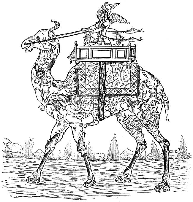 A PERI ON A CAMEL