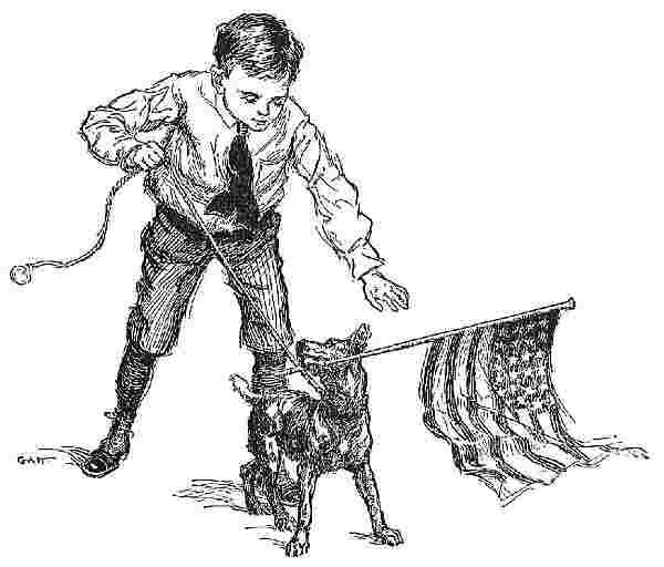 Boy & Dog With Flag