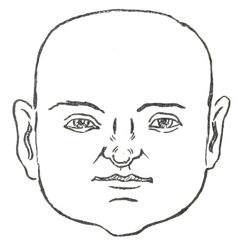 Fig. 15

SQUARE FACE
