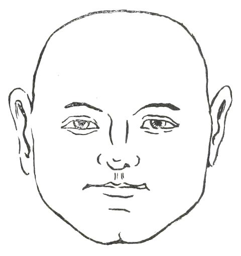 Fig. 18

BROAD FACE
