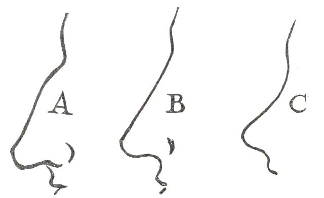 Fig. 21

A, ROMAN; B, GRECIAN; C, CHERUBIC