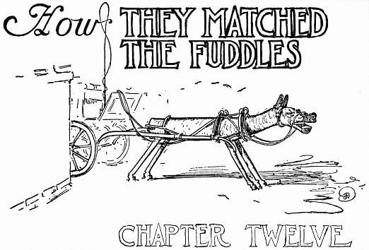 How THEY MATCHED THE FUDDLES--CHAPTER TWELVE