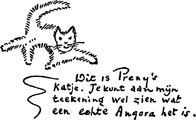 Dit is Prexy's katje. Je kunt aan mijn teekening wel zien wat een echte Angora het is.