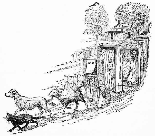 dog, cat, goat pulling bicycles and long train of closets