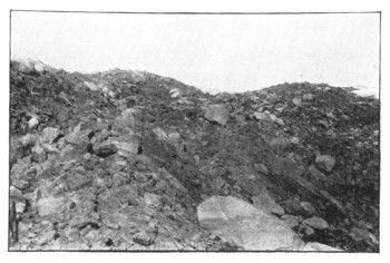 Fig. 32. Hummocky surface of the boulder-strewn moraine of Greenland.