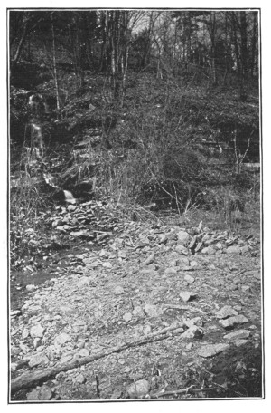 Fig. 44. A pile of brook debris deposited by the checking of the current.