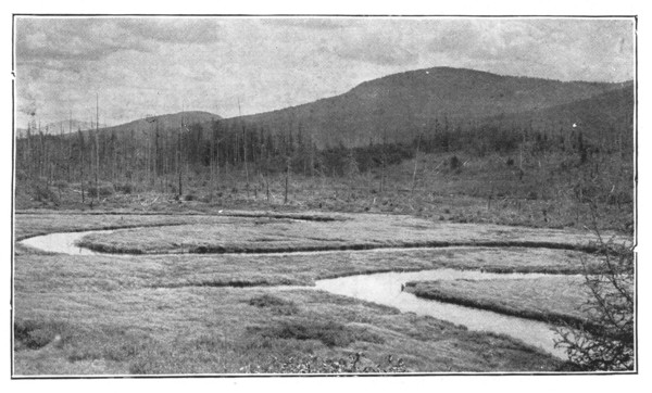 Fig. 46. A brook flowing across a pond which has been filled.