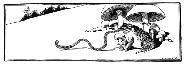 Fig. 117. Toad making a meal of an angle worm.