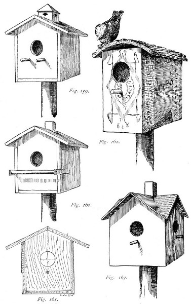 Suggestions for home-made bird houses.