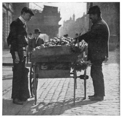 Fig. 308. Here is where city boys and girls buy their apples.
