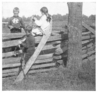 Fig. 315.  Over the fields in corn-harvest time.