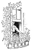 Fig. 358. A nest of window pots.