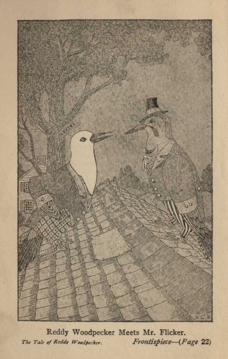 Reddy Woodpecker Meets Mr. Flicker. *The Tale of Reddy Woodpecker*.  *Frontispiece*—(*Page* 22)