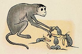 monkey giving extra bananas to rats