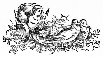 cherub in carriage pulled by birds