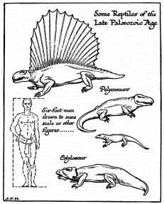 Some Reptiles of the Late Palæozoic Age