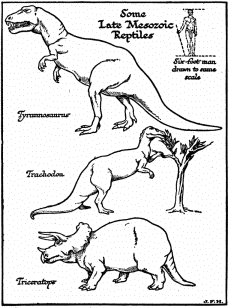 Some

Late Mesozoic

Reptiles