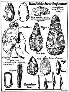 Early Stone Implements.

The Mousterian Age implements, and all above it, are those of
Neanderthal men or, possibly in the case of the rostro-carinates,
of sub-men. The lower row (Reindeer Age) are the work of true men.
The student should compare this diagram with the time diagram
attached to Chapter VII, § 6, and he should note the relatively
large size of the pre-human implements.
