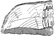 Fig. 76.—Lomo asado.
