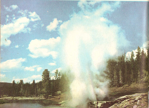 Riverside Geyser throws its column over the Firehole River