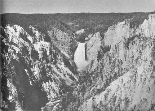 The thundering Lower Falls of the Yellowstone