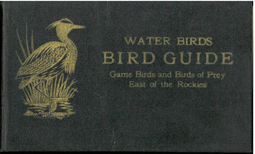 BIRD GUIDE: WATER BIRDS, GAME BIRDS AND BIRDS OF PREY