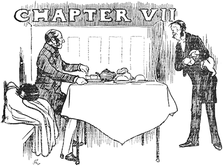 CHAPTER VII