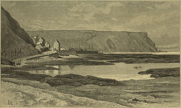 coastal scene, town in background