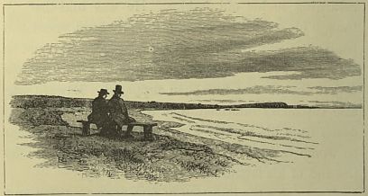 couple sitting on bench on shore
