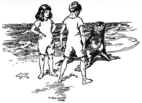 Two children in swimsuits talking to seal at shore