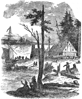 Image not available: THE FIRST SETTLEMENT OF NEW YORK.