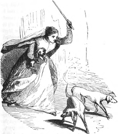 The actress, lap-dog under her arm, driving out the other dogs