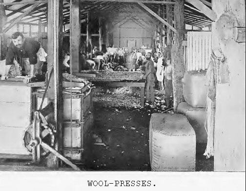 Wool-presses