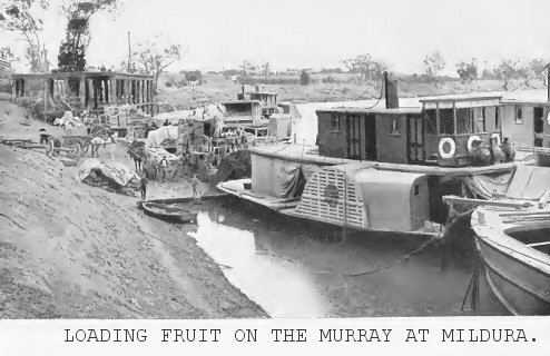 Loading fruit on the Murray at Mildura