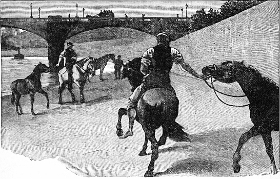 men on horseback leading other horses under bridge