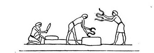 Egyptians Threshing Corn by Hand.