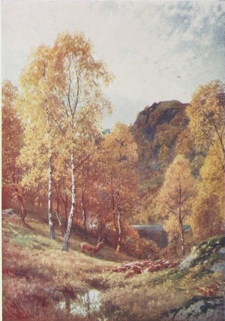 Image unavailable: AUTUMN IN THE HIGHLANDS