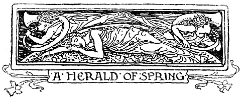 A·HERALD·OF·SPRING