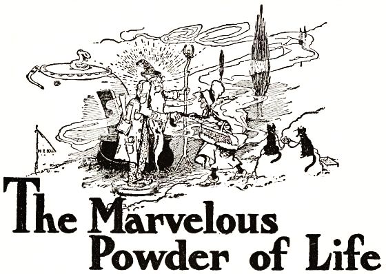 The Marvelous Powder of Life