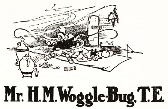 Mr H M Woggle Bug T E
