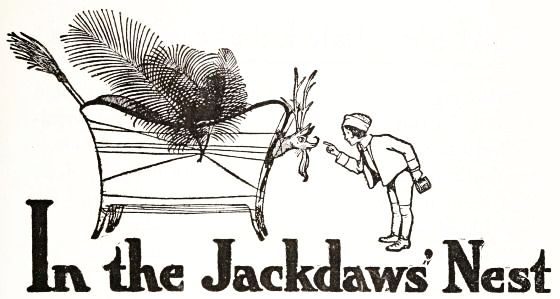 In the Jackdaws' Nest