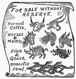 A signboard: FOR SALE WITHOUT RESERVE. Horned
Cattle, Horses & Mules, PIGS & GOATS, Domestic Fowl.