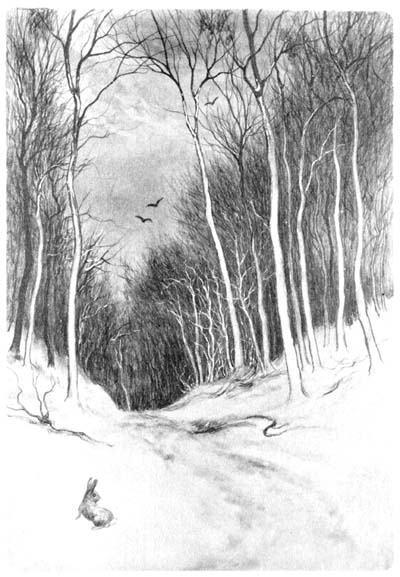 THE ROAD THROUGH THE WINTER WOODS