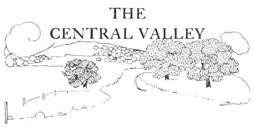 THE CENTRAL VALLEY