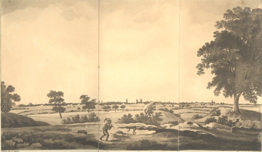 East View of Lynn Regis, pub. May 1, 1812 by W. G. Whittingham,
Lynn.  Draw J. Sillett, engraved J. Hassell